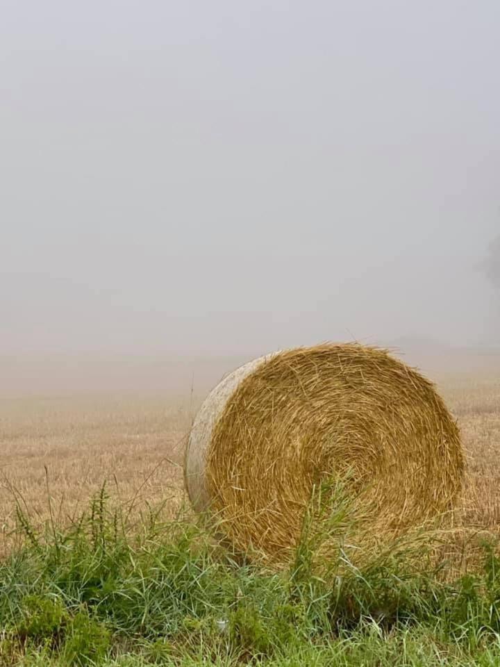 B&B Le Piote Pietra Marazzi Buitenkant foto